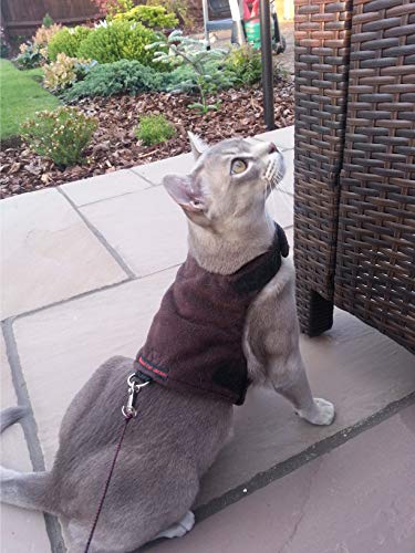 Mynwood Cat Jacket /Arnés de forro polar chocolate adulto gato