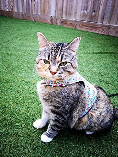 Mynwood Cat Jacket /Arnés de telas estampadas para gatitos o gatos adultos (pradera silvestre floral, gatito)