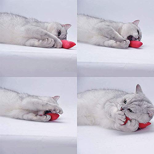 N / A Dispensador de alimentos para gatos Juguete para mascotas Juguete para mascotas Bola de gato Alimentador de juguete Dosificador de fugas Interactivo IQ Treat Formación de ratón Vaso de gato Bola