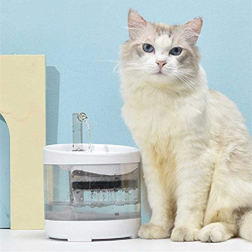 N\ A Fuente para Beber para Gatos, Inducción Automática para Mascotas, para Gatos, Circulación Automática Silenciosa, Fuente para Beber para Gatos Y Perros De 1,6 litros Sensor Inteligente