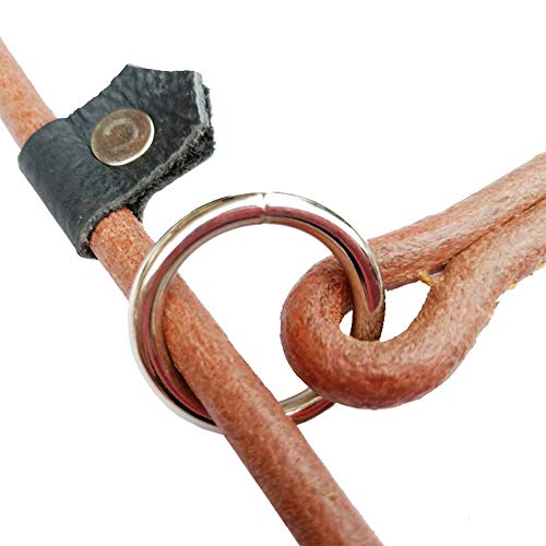 N / A Perro De Múltiples Funciones Cuerda De Cuero De 150 Cm De Largo Correas para Perros Correa Fuerte para Pequeñas, Medianas Y Grandes Perros
