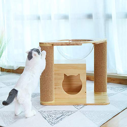 N\A Casa de Gato, Nido de Gatos, Muebles para Mascotas, Cama de Gato Transparente, cápsula Transparente cápsula, Copa de Hamaca Suave, Mascota, Transpirable, jerarquía Colgante (Color : Type#B)