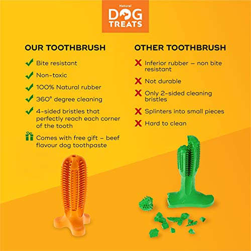 Natural Dog Treats Cepillo de Dientes y Dentífrico Set para Perros, 100% Natural Caucho Dog Brushing Stick, Juguete para Masticar, Tall Medium