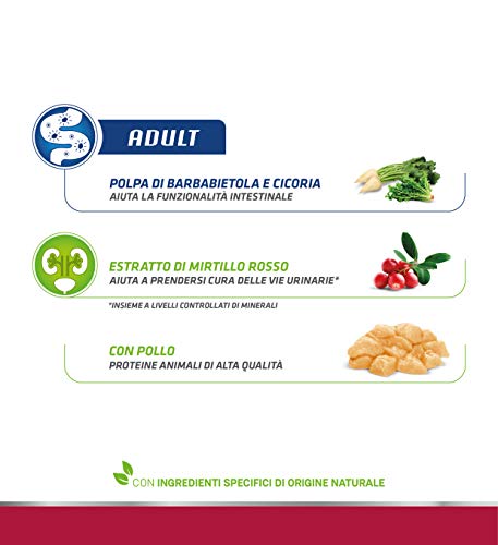 Natural Trainer - Pienso para Gatos Adultos con Pollo - 3kg