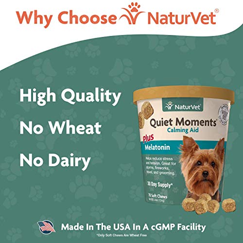 NaturVet Quiet Moments Calmante Ayuda Plus Melatonina para Perros, 70 CT Dental para Suave, Fabricado en Estados Unidos