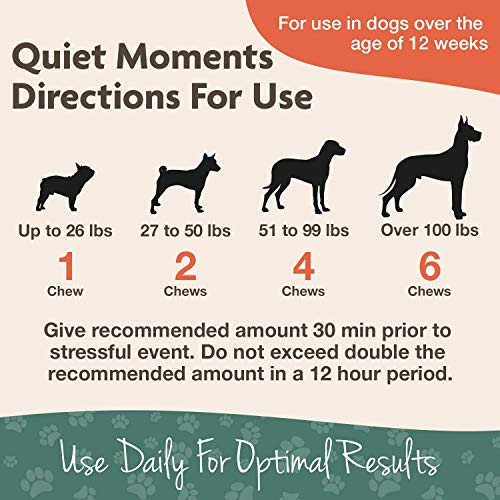 NaturVet Quiet Moments Calmante Ayuda Plus Melatonina para Perros, 70 CT Dental para Suave, Fabricado en Estados Unidos