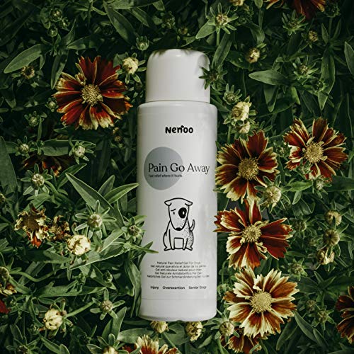 Nenoo Gel analgésico para Perros para Aliviar Problemas Inflamatorios y Dolor en Articulaciones Garra del Diablo y árnica Montana. 250 Mililitros