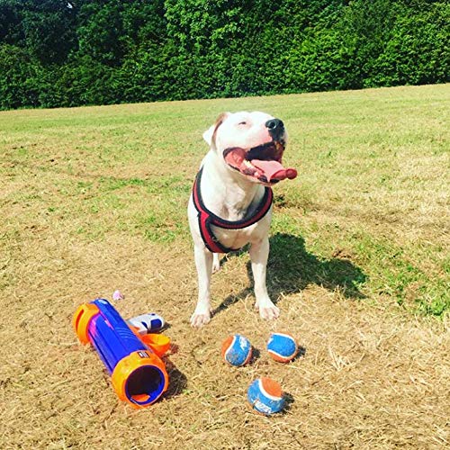 Nerf Pelota de Tenis para Perro, Juguete bláster, Pelota de Tenis Hydrosport