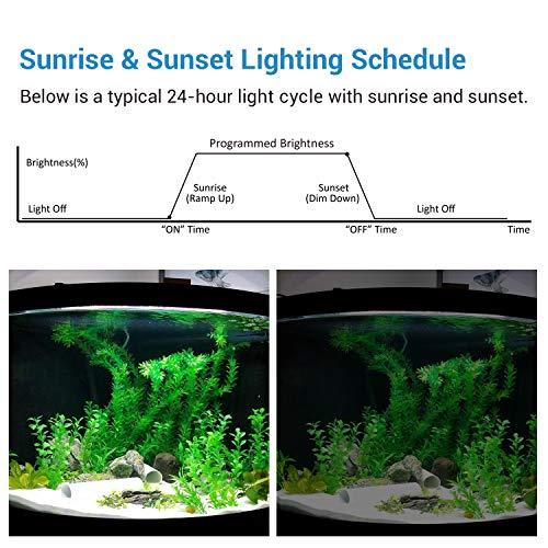 NICREW Temporizador de Canal Único para Acuario, Luz de Acuario Temporizador para Acuarios Temporizador Digital para Luz LED de Acuario, Temporizador de Control de Iluminacion