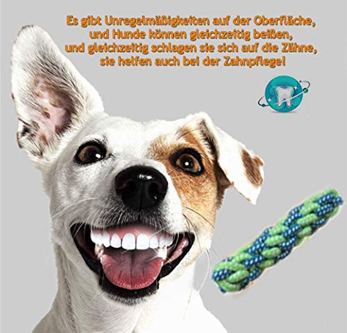 Nifogo Cuerda de Juguete para Perro,Grupo de Juguetes para Perros,Juguete De Cuerda De Algodón,Juguetes para Perros,Juguetes para Masticar,Mejor para Cachorros pequeños y medianos(10 PCS)