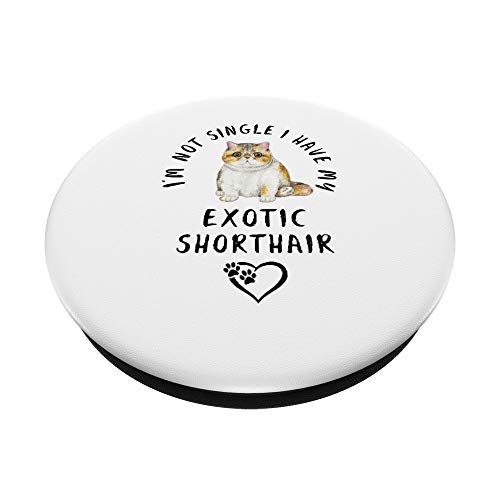 No estoy soltera tengo mi Exótico Dia San Valentín PopSockets PopGrip: Agarre intercambiable para Teléfonos y Tabletas