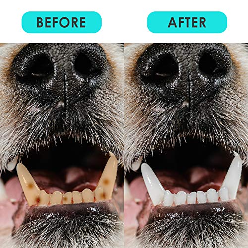 N\O Yisika Juguetes para Perros Pequeños,Cachorro Aburrimiento Ansiedad Nudos de Dentición Cuerda de Algodón Juguetes Juguetes para Masticar Perros para Cachorros Mascotas Pequeñas