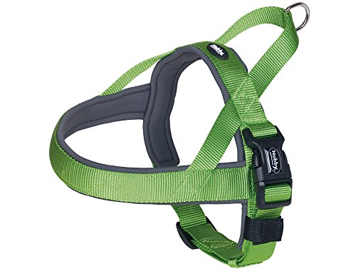 Nobby Classic Preno Norwegian Harness, 68-85 cm+54 cm/40-45 mm, Verde/Gris