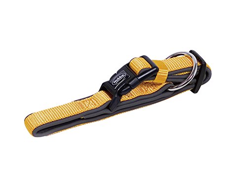 Nobby Collar de perro Preno clásico, 40-55 cm/25-35 mm, naranja/gris
