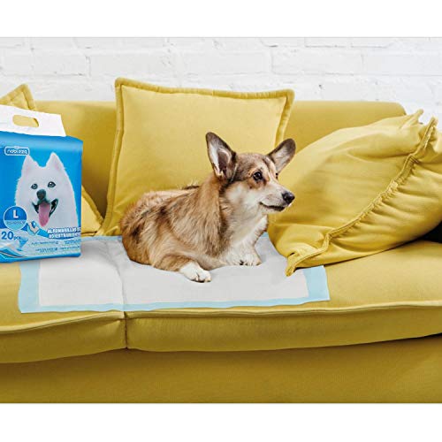 Nobleza - Empapadores Perros Alfombrilla higiénica de Entrenamiento para Perros. Ultraabsorbente 90cm*60cm, 40 Piezas