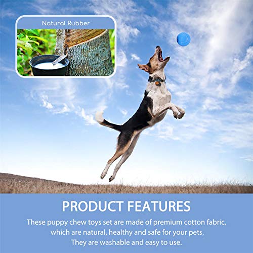 Nobleza - Juguetes para Perros, Juguetes de Cuerdas y Juguetes de Peluche con Sonido, Pelota de Juguete para Cachorros, 5 Piezas de Juguete masticable y chirriante con Bolsa interactivos