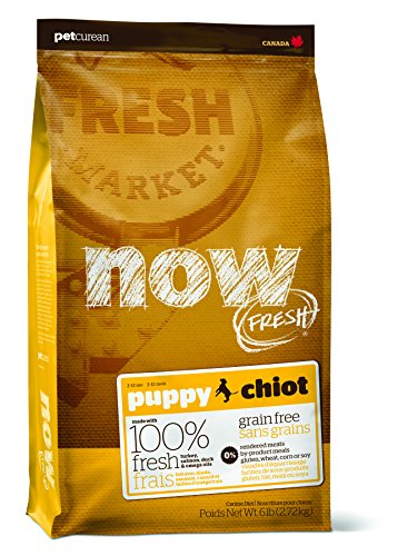 Now Grain Free Puppy Dog 2.7kg