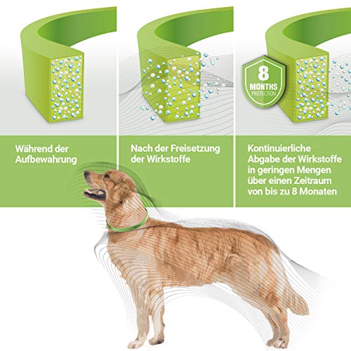 Nutrani Garrapatas Collar para Perros | Tamaño Ajustable y Resistente al Agua – Protección fiable contra garrapatas, Mosquitos, pulgas, ácaros y Larvas – Protección Duradera hasta 8 Meses