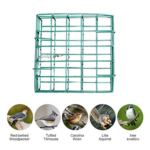 NYKK Comedero para pájaros Dispensador de Alimentos de Aves de Aves de Aves Cuadrado Alimentador de pájaros Colgantes Alimentador de Sebum Comederos Colgantes