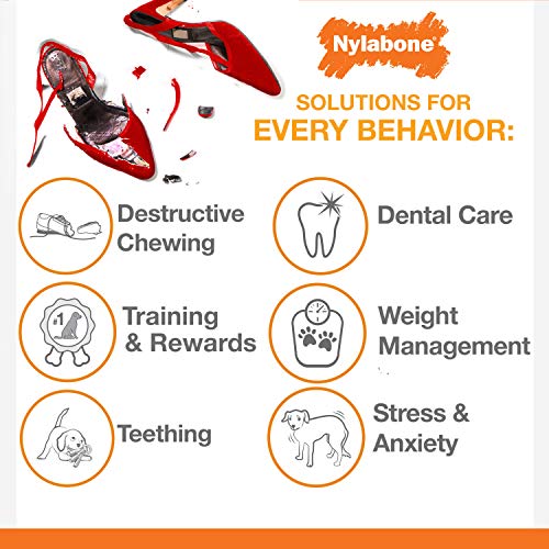 Nylabone Dura Chew Bacon y pollo Perro – Chucherías para Extreme chewers, grande