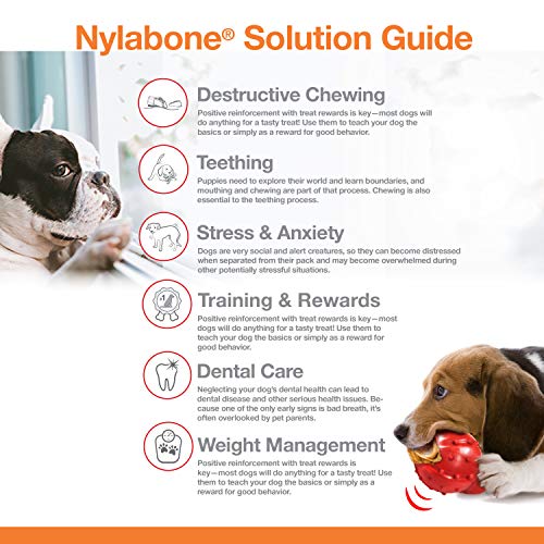 Nylabone Juguete masticable para higiene Dental en Forma de Hueso para Perros con mordida agresiva, Sabor a Mantequilla de Cacahuete, para Perros Adultos de hasta 23 Kilos 107.7 g
