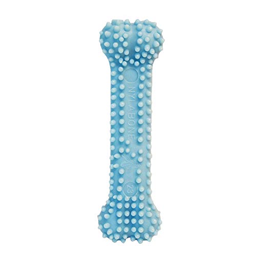 Nylbone Juguete Dentición para Perros XS, Azul - 1 Unidad
