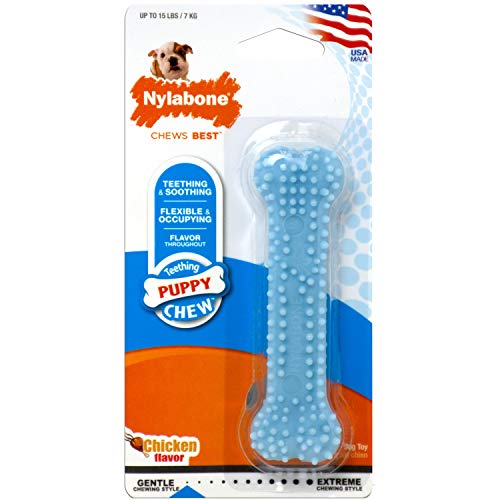 Nylbone Juguete Dentición para Perros XS, Azul - 1 Unidad