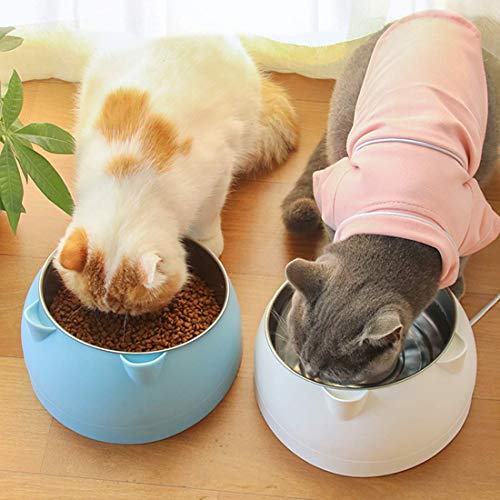 O-Kinee Cuenco del Gato, Tazones para Gatos Antivomitos, Comedero Gato 15° Inclinable Tazón, Cuenco de Alimentación para Gatos, Comederos Perros Gatos, Acero Inoxidable, Base Antideslizante 200 ML