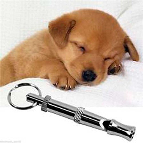 OcioDual Llavero Silbato de Ultrasonidos Adiestramiento Mascotas Metalico Ultrasonido Perros con Anilla para Llasves
