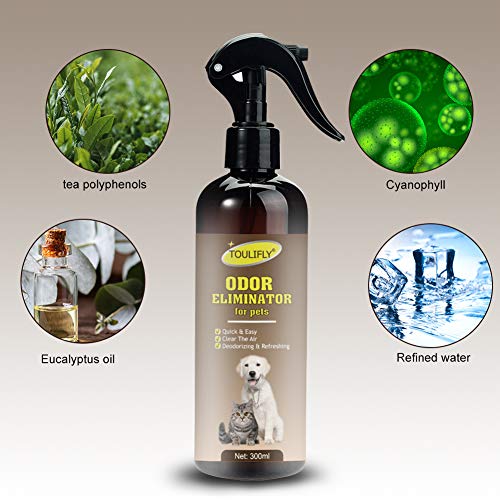 Odor Eliminator, Eliminatore di Odori di Animali, Pet Odor & Smain Remover e Cleaner – Cane e Gatto