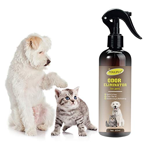 Odor Eliminator, Eliminatore di Odori di Animali, Pet Odor & Smain Remover e Cleaner – Cane e Gatto