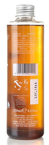 Officinalis - Champú para pieles grasas Bardana 250 ml.