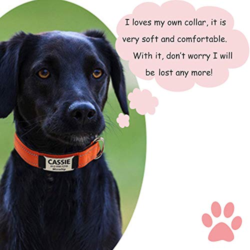 Oncpcare Collar de perro personalizado, reflectante grabado personalizado etiqueta de identificación de mascota, collar de identificación de nailon
