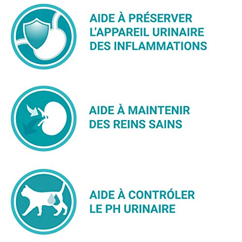 ONE Purina Comida para Gatos – Bolsita de 450 G – Lote de 10 – Saveur AU CHOIX