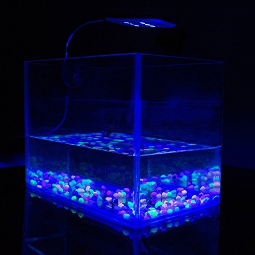 ONEVER Lámpara del Tanque de Pescado de la luz de la Abrazadera del Acuario, 2 Modo Azul y Blanco, 1.5W 24 llevó con el Enchufe de la UE