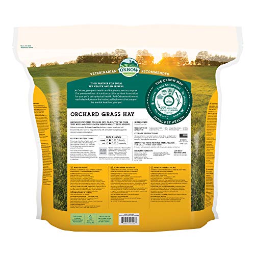 Orchard Grass Heno para Mascotas pequeñas Oxbow, 1,13 kg