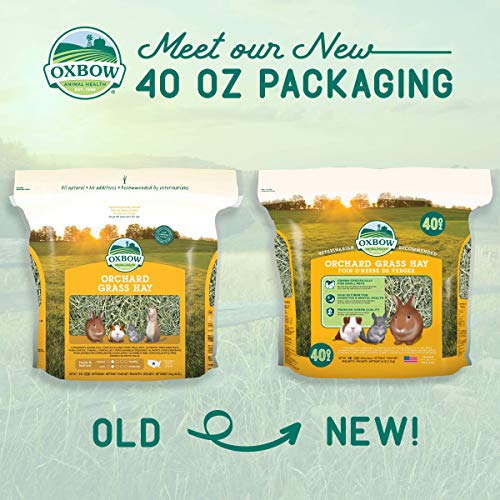 Orchard Grass Heno para Mascotas pequeñas Oxbow, 1,13 kg
