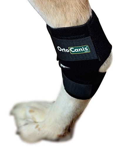 Ortocanis - Soporte de Tarso para Perros - para artrosis en Tarso, lesión de ligamentos o inflamaciones articulares tendinosas - Talla S