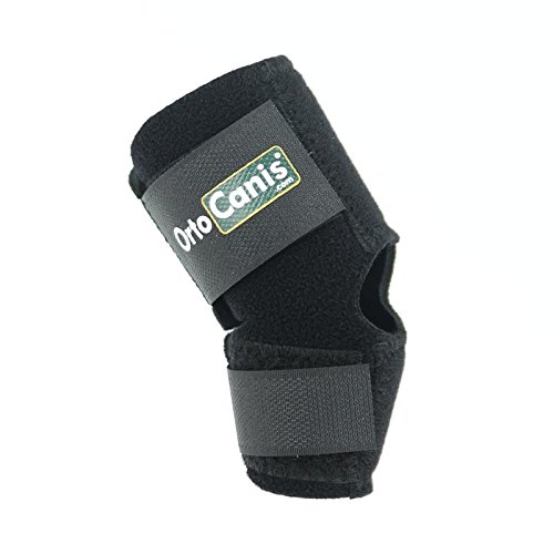 Ortocanis - Soporte de Tarso para Perros - para artrosis en Tarso, lesión de ligamentos o inflamaciones articulares tendinosas - Talla S