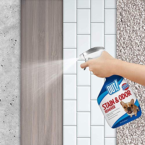 OUT!. Las Manchas y Olor Remover, 750 ml