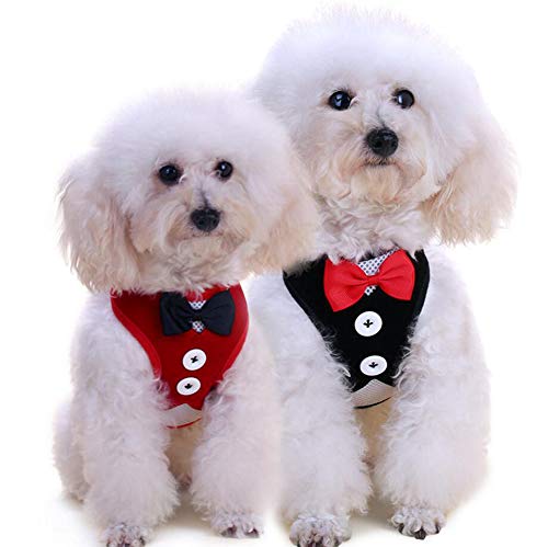 Oyccen 2 Piezas Arnés de Chaleco para Perro Pequeño Cachorros Arnés de Malla Ajustable con Correa Gatos Ropa Traje de Boda para Mascotas