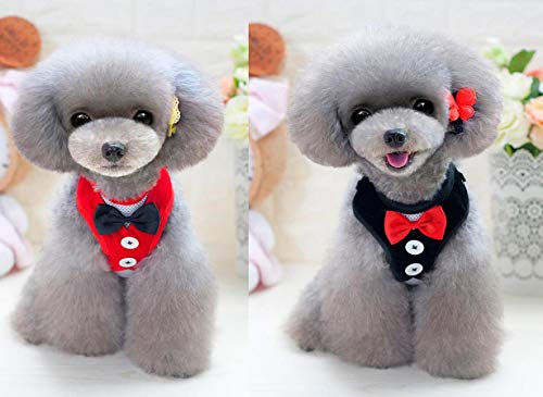 Oyccen 2 Piezas Arnés de Chaleco para Perro Pequeño Cachorros Arnés de Malla Ajustable con Correa Gatos Ropa Traje de Boda para Mascotas