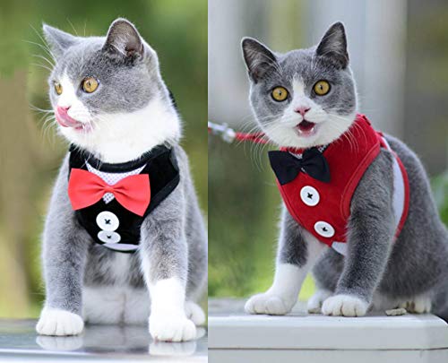 Oyccen 2 Piezas Arnés de Chaleco para Perro Pequeño Cachorros Arnés de Malla Ajustable con Correa Gatos Ropa Traje de Boda para Mascotas