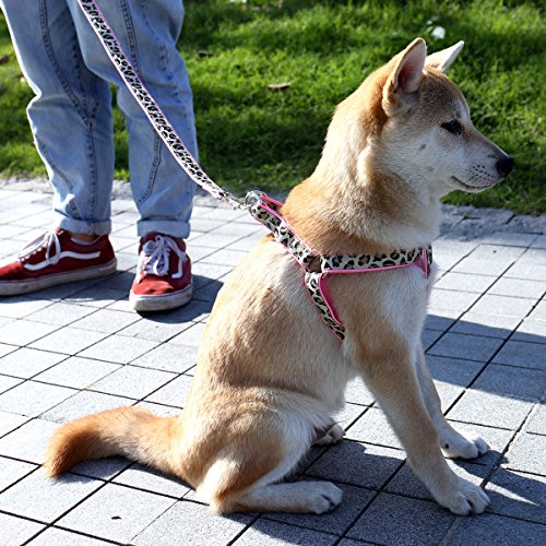 PAWZ Road Collar y Arnés de Pecho Entrenamiento de Mascotas Correas Perros Cuerda Estampado Leopardo 3 Set para Correr Pasear Rosa M