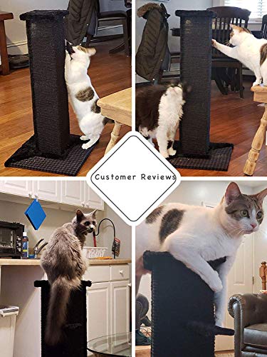 PAWZ Road Gatos Rascadores y Muebles Postes rascadores