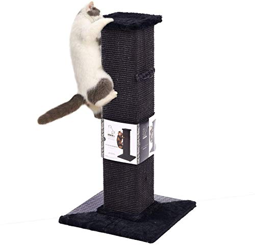 PAWZ Road Gatos Rascadores y Muebles Postes rascadores