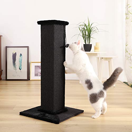 PAWZ Road Gatos Rascadores y Muebles Postes rascadores