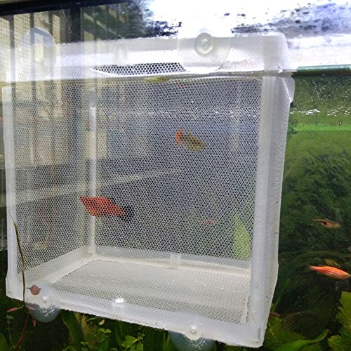 Peces de acuario de ZOSEN criador aislamiento caja criador criadero incubadora