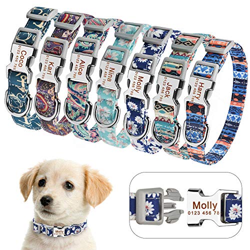 Pequeño, grande, personalizado, collar de perro, nombre grabado personalizado, etiqueta de identificación, niño, niña, perros, unisex, collar de perro, collar de perro, CS 23-33 cm,   identific