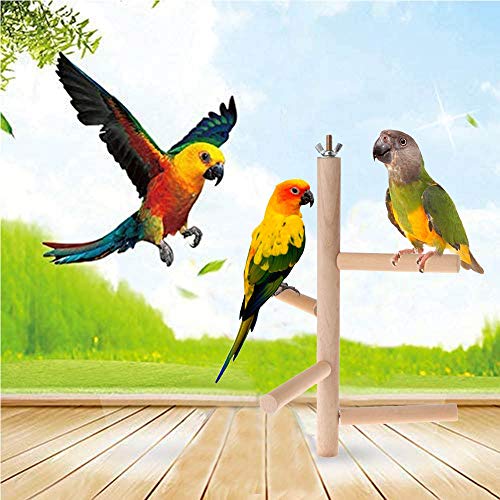 Percha de Periquito de pájaro de Madera Soporte de Loro Perchas de Madera Palo de molienda de Patas, Plataforma de Soporte de Madera Natural Juguete para Masticar para pinzones, Canarios